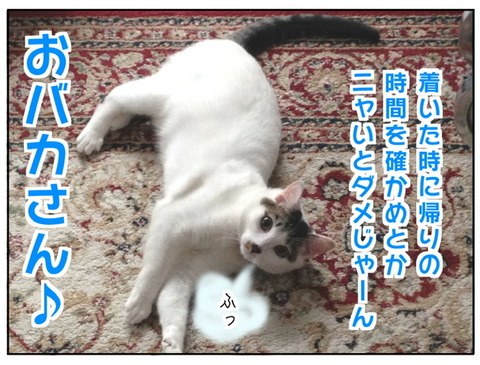 6203487D-B2E4-4590-A3A3-D87644F80DFF