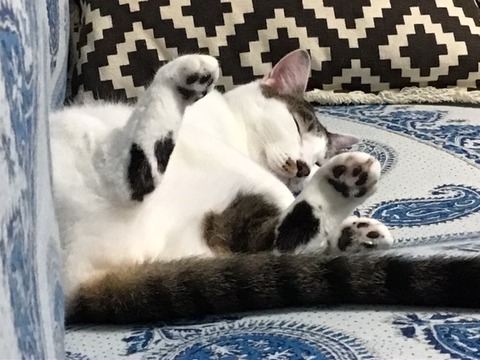 CD30613D-DB2B-4D1D-A8D9-ED61C5DB9466