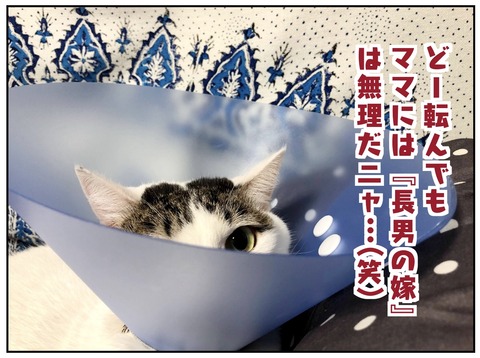 D7E60BD9-E9D6-4ABE-AD4B-B59DDD0E8A73