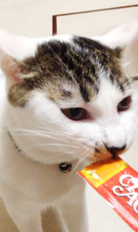 E520A937-F2FE-4DEE-9E7C-971F82288F64