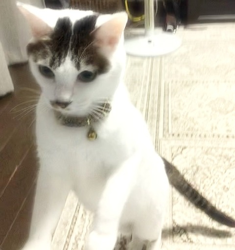 0CCB469C-15C7-4680-8B2D-24F2F512739E