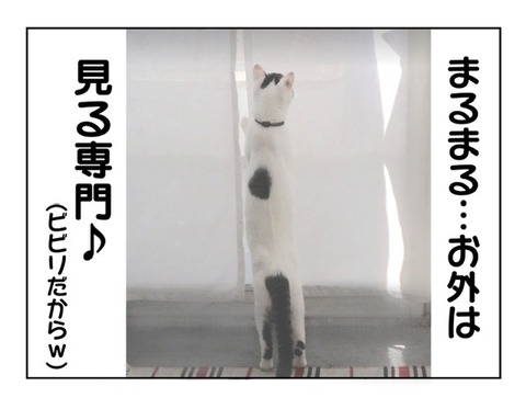 2114E898-6F6F-4801-B4CA-3C9BCCCFF5DA