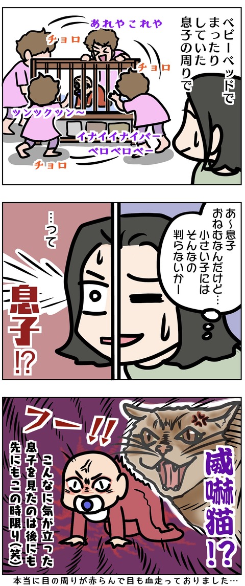 13141978-B246-4AFD-AD78-FC519806CD64