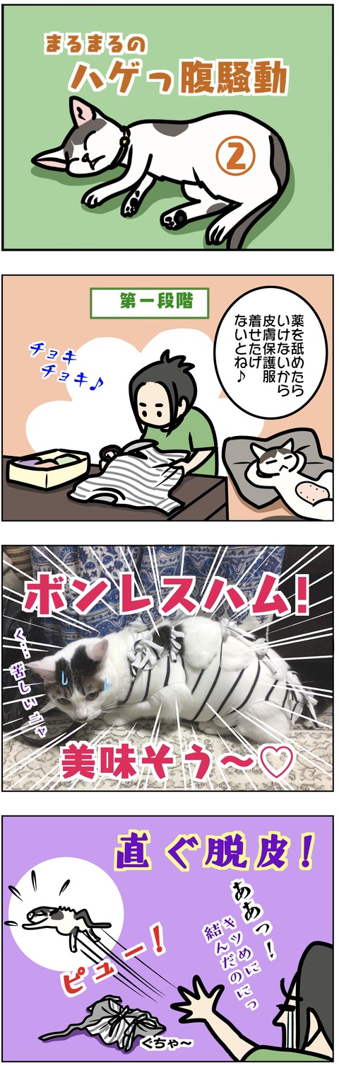 2F41A7ED-ABEE-4611-B235-93650E0BC7E7