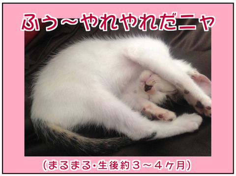 B4BDB8A7-A3D6-4D2E-9EE5-5F13CF9EA4DE