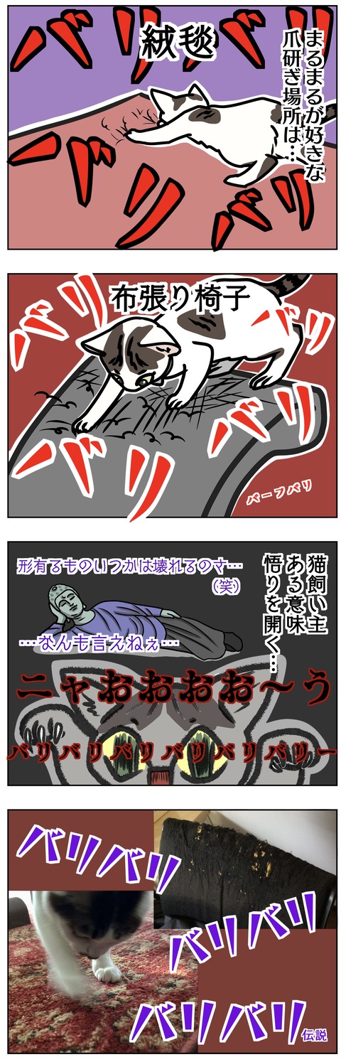 0D2B9CBC-35D8-432C-923C-91ACEC1AA5A3