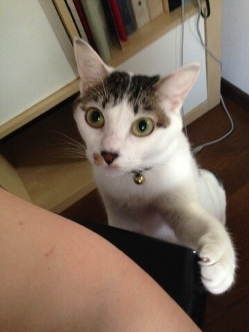 14C9A943-4AD7-405B-9140-D773464AC91B