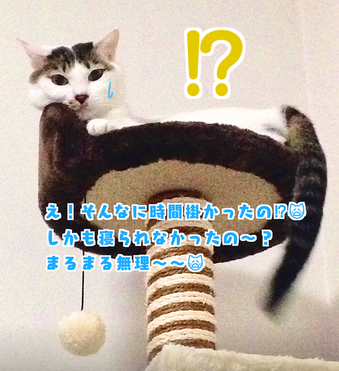 0487BA6A-F2D0-453C-93AC-73B858B31423