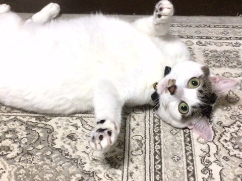 EAD1EFF9-F49F-4741-A665-7D0542333C85