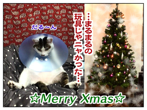 DC6C51E1-57CA-4F73-BFD9-EC6E71BAE796