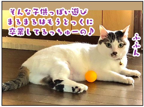 7BABE948-B868-4FD9-BAE2-3F354A213602