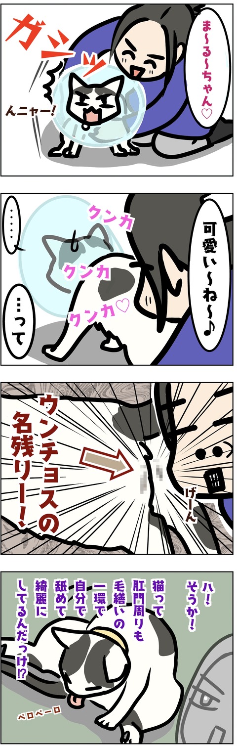 3E50C739-62A4-47AF-B618-D0E765357462