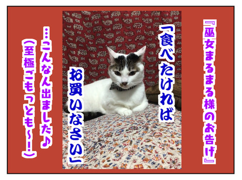 676A9981-1011-42DA-8B50-A54F73DC2F7F