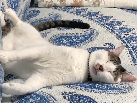 832AFBC1-422E-4F53-AD26-7FAC1D726B83