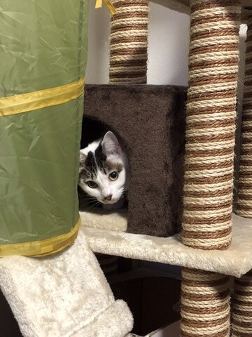 2A6C77B6-42D2-4AE2-B769-D230B8D3F2BA