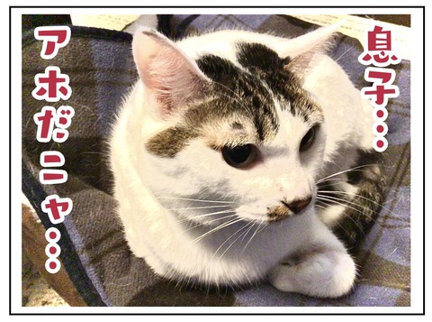 4E15EB25-F331-438C-8BC7-5236FB01B514