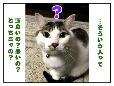 724CC940-2BA6-4591-B51D-30CF14E4F7B7