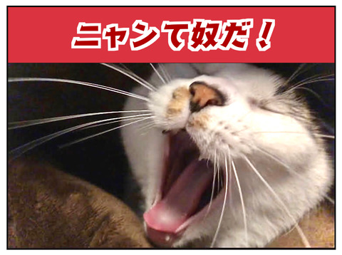 19F2AE55-C2D9-49BC-8BB5-0BC7ECEAA147