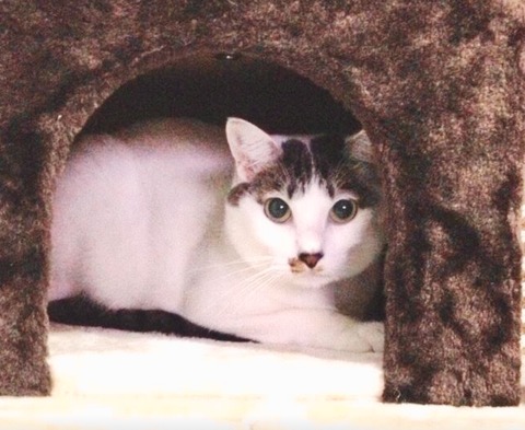 ACF598D3-6F50-4325-9A53-82F0539084CA