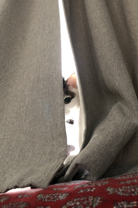 A6FC5583-CC7B-43D3-9D6D-0FF3BB541422