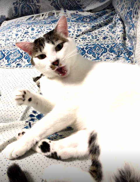 EA3CFDD8-E6C3-4CBF-8B3E-3E81A813A0AF