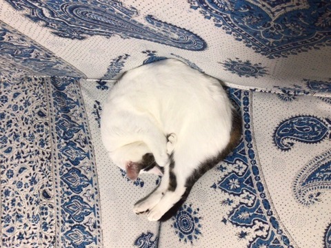 E155957E-DF4B-4C90-BCC2-4C629A8E47B5