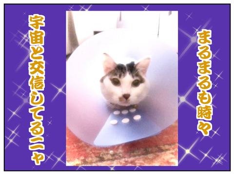 18D9B442-C96D-40F3-99F1-7C9748C642B7