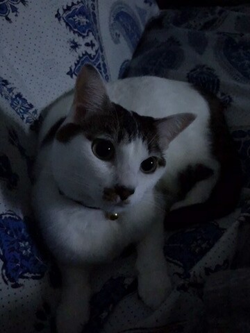 A0A6E7DC-1678-4CF7-9091-EDE961F37F7D