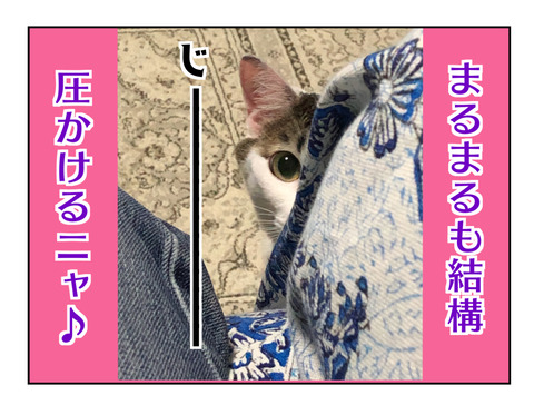 BB091A2F-484E-429F-AD3F-1F49121CDBFD