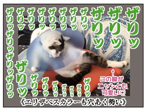 4E33A236-BF5B-4326-87C4-30305D3900C0