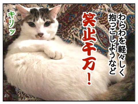 60BECC61-8B4B-4FA1-9078-2180AF304049