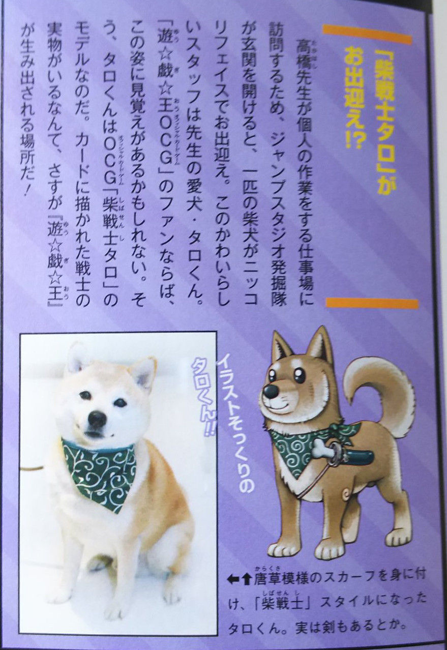 柴戦士タロ : 1枚のカードから始まる宇宙