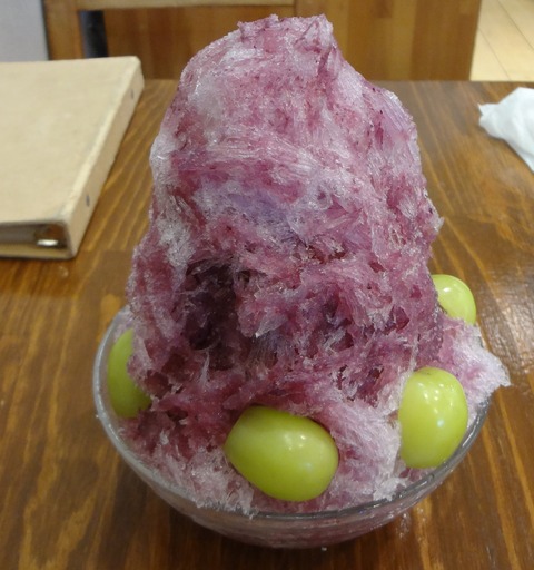 zDSC07668