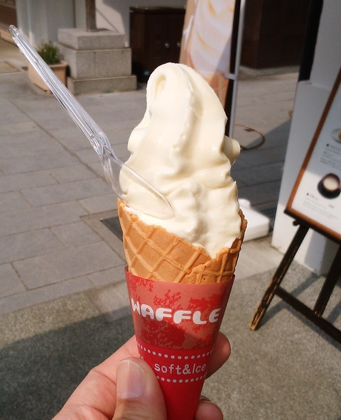 yDSC_9046