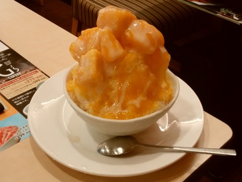 yDSC_4312