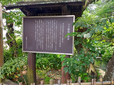IMG20200604124354