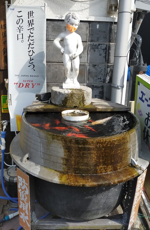 IMG20200604153313