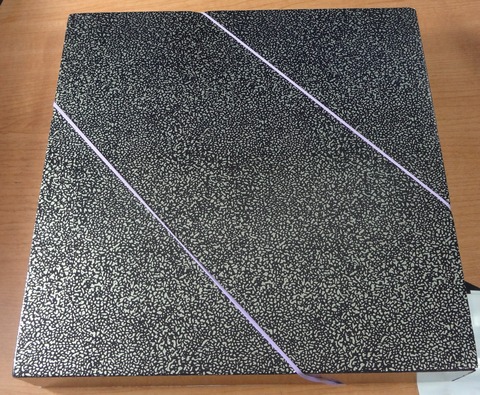 yDSC03947