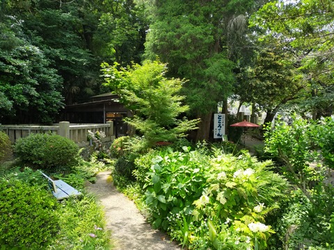IMG20200604122650