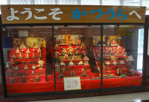 zDSC08701