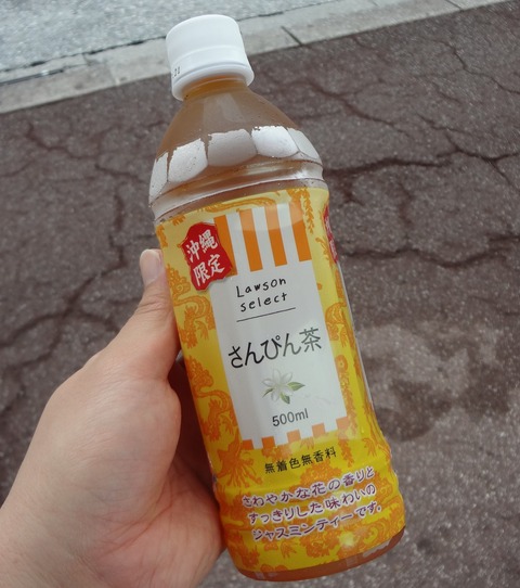xDSC01801