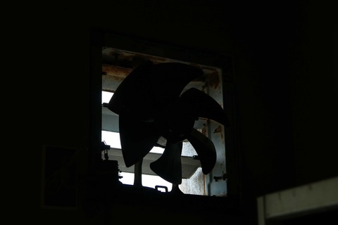 IMG_1734