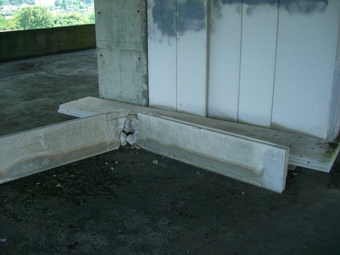 CIMG0824