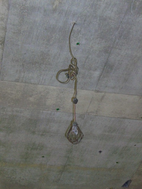 CIMG0769
