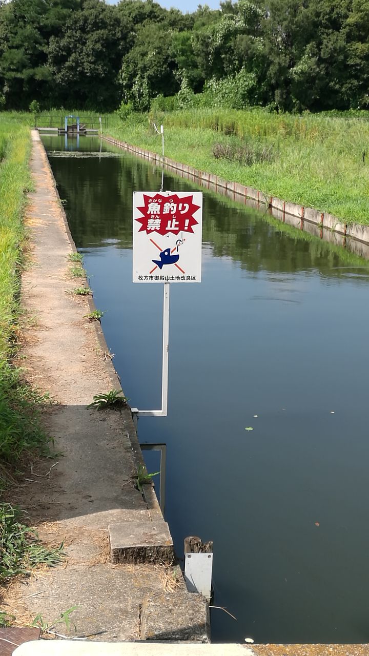 枚方市の釣り場を探索した結果 トップでナマズ釣り