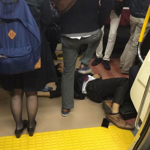 12407534_1689899544561696_505054921_n