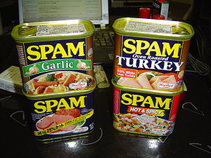 300px-Spam_4_types