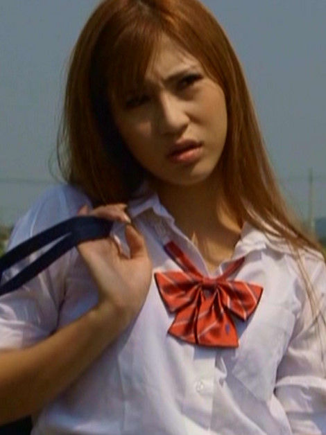 ヤンキー女子高生 全国制覇への道 千葉編 皆殺しの天使は電撃チャックの夢を見るか