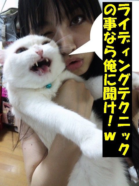 グロ中尉 閲覧注意 バイクに乗ったお姉さん 171キロの車に突っ込まれて真っ二つになって死亡 死に顔が 芸能エンタメ Darkside