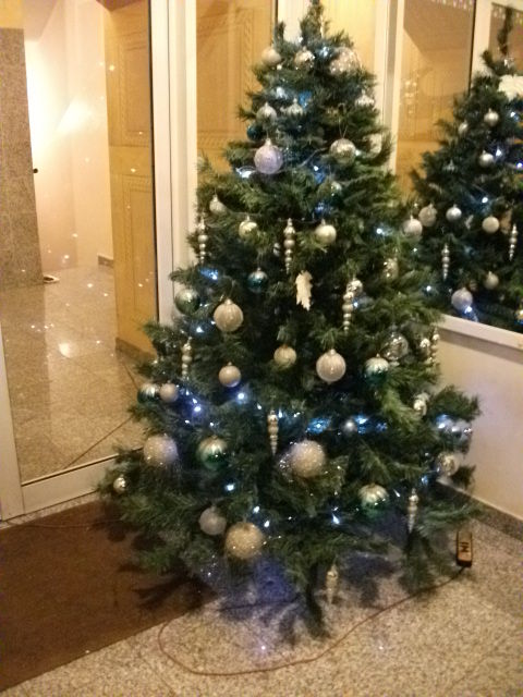 コラの調べに魅せられて んっ ムスリムがクリスマスを祝う 11 12 23